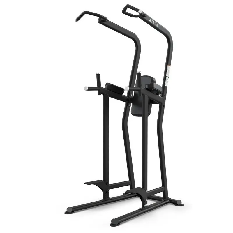 True Fitness Line Knee Raise / Dip / Chin Station