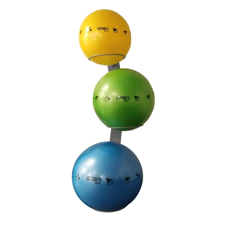 Prism Fitness Smart Wall Mounted Stability Ball Rack Package