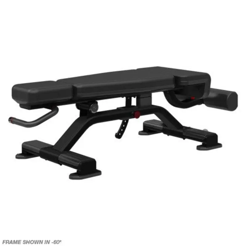 Nautilus Inspiration Adjustable Decline Bench