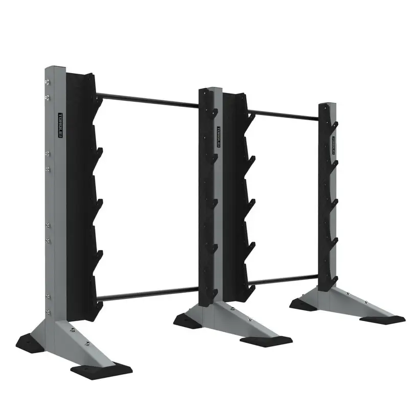 Torque 2-Module Wall 10 Barbell Rack