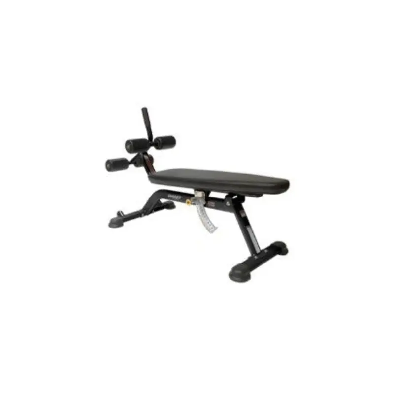 Hoist Fitness HF5264 Adjustable Ab Bench