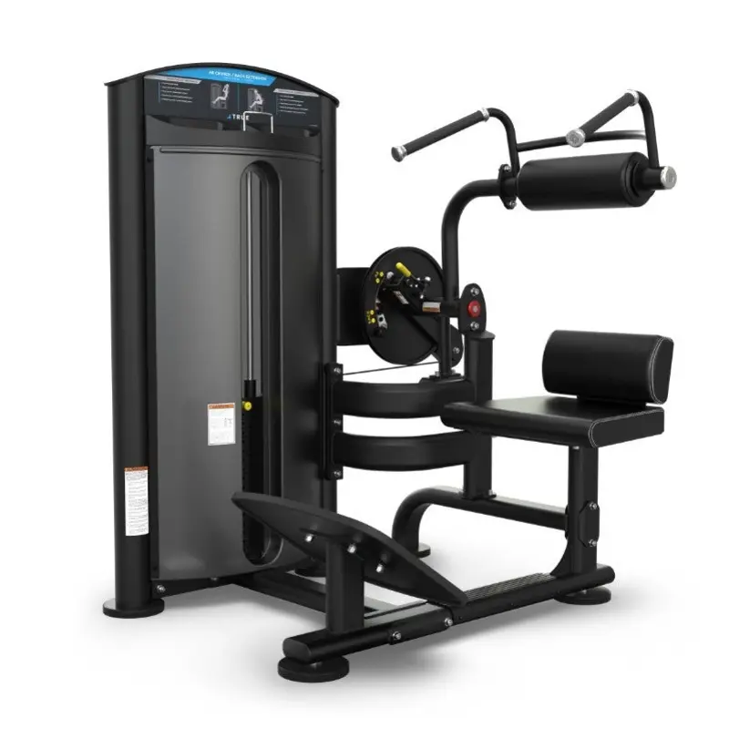 True Fitness Force Dual SD-1004 AB CRUNCH/BACK STRENGTH MACHINE