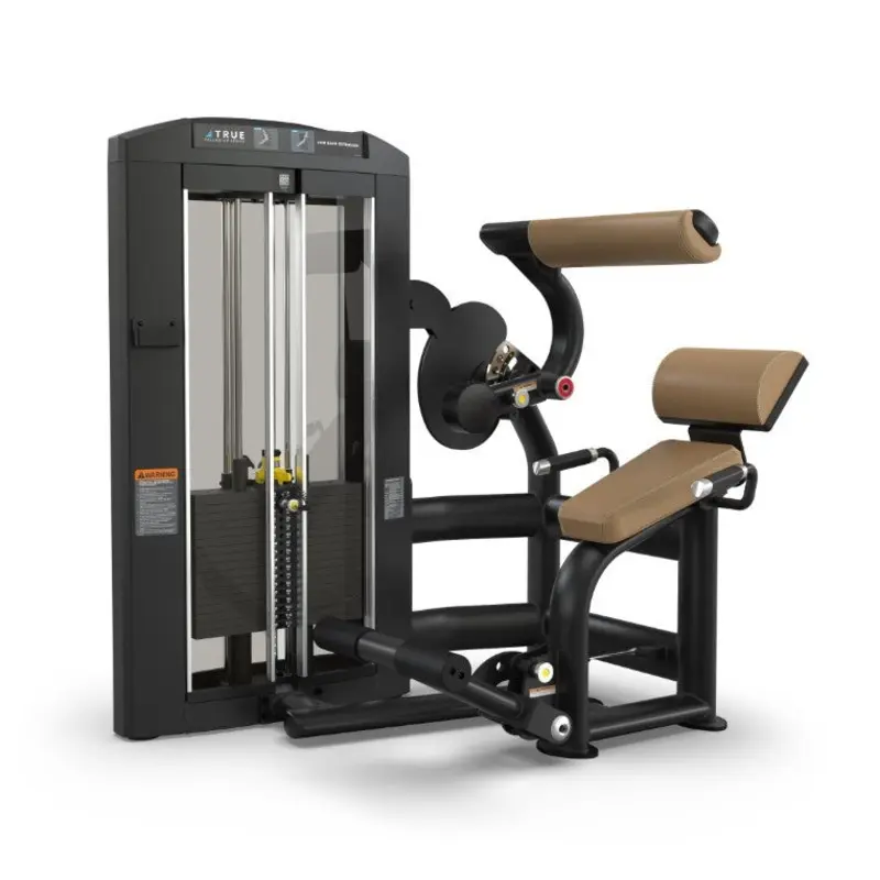True Fitness Palladium Series SPL-1300 Low Back Extension