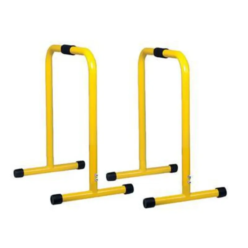 Parallete Equalizer Bars