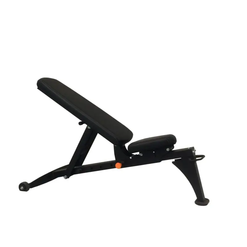 Torque Adjustable Bench