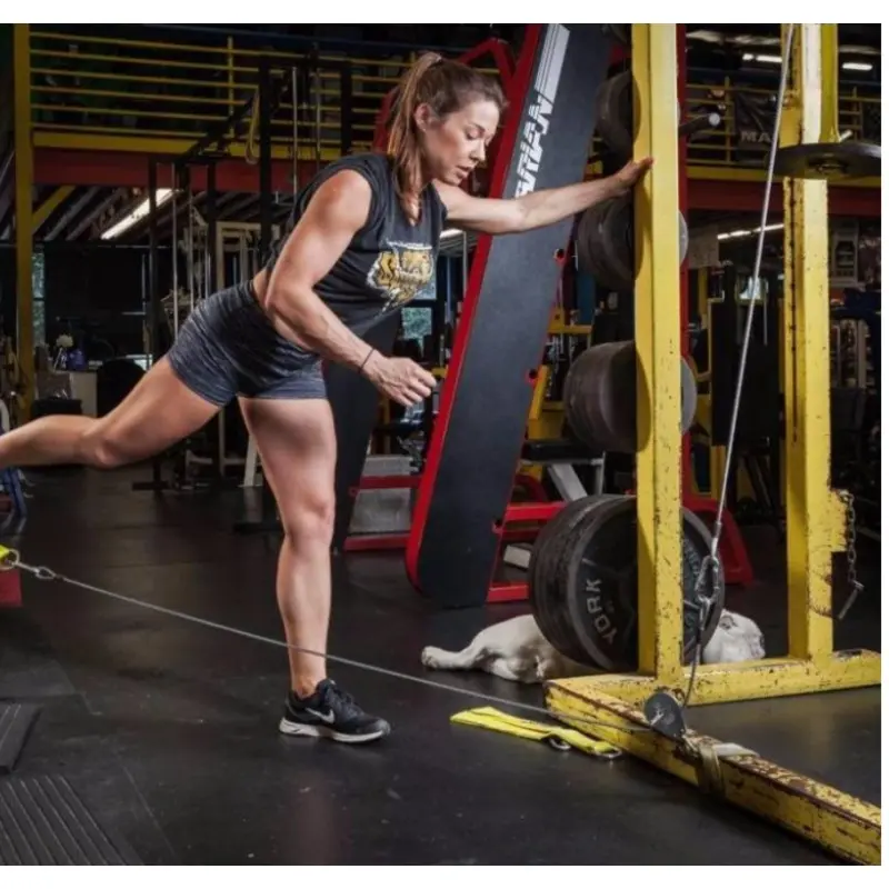 Spud Inc. Econo Triceps, Lat and Low Pulley Systems