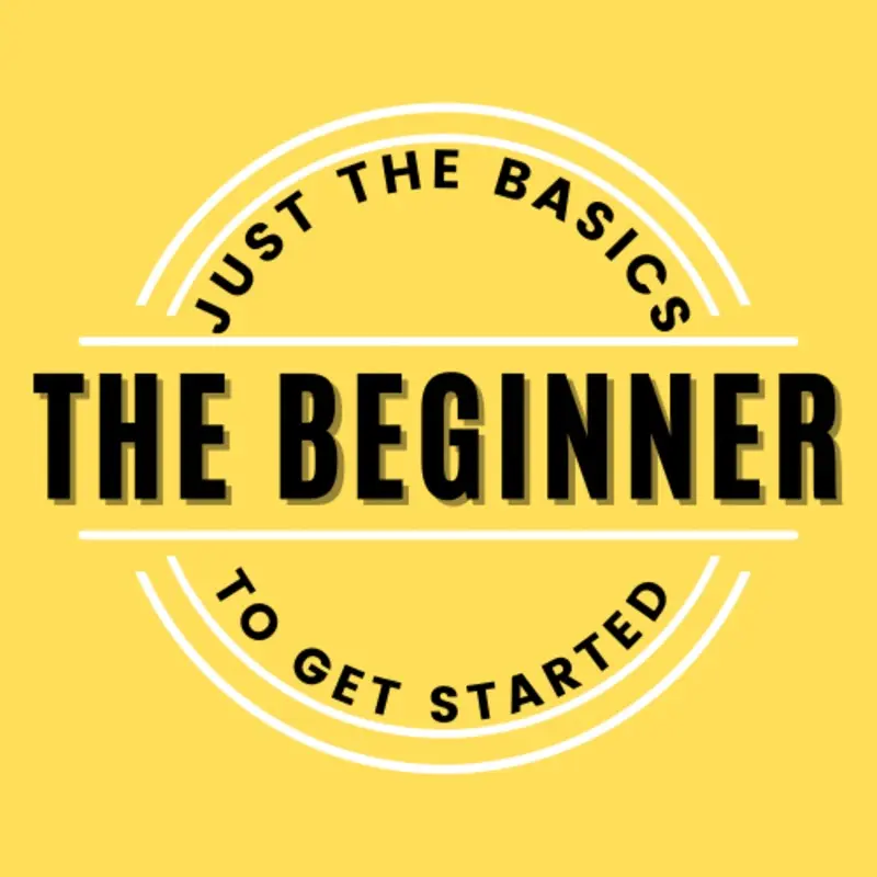 The Beginner