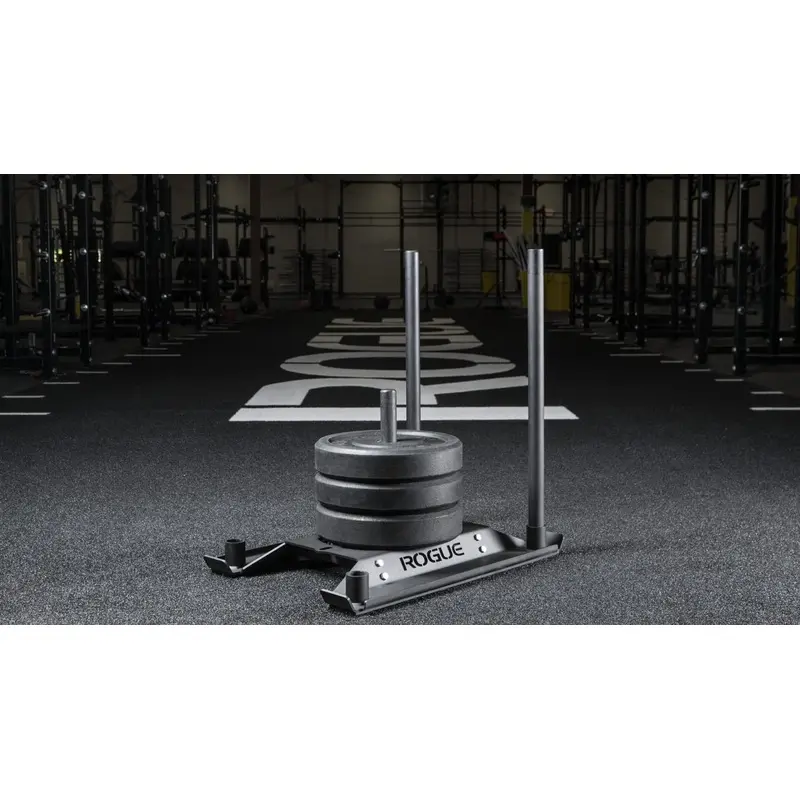 Rogue Echo Dog Sled