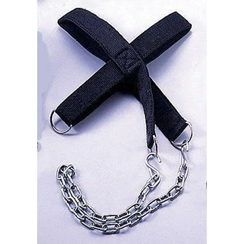 Basic Head Harness