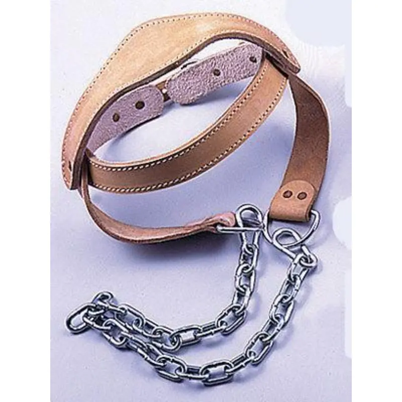 Leather Padded Head Harness