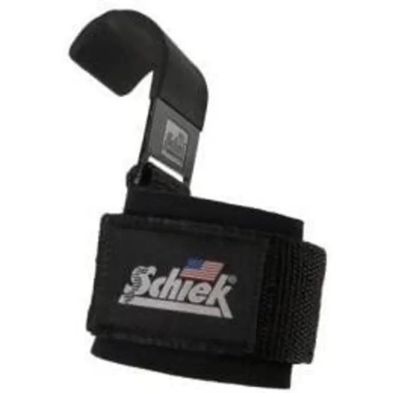 Schiek Lifting Hooks