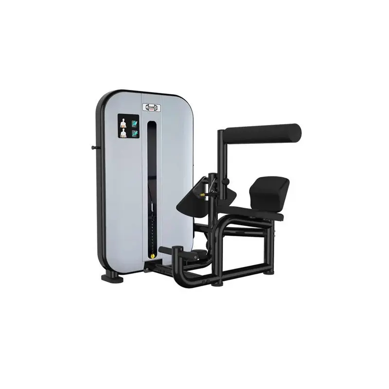 Muscle D Vogue Ab/Back
