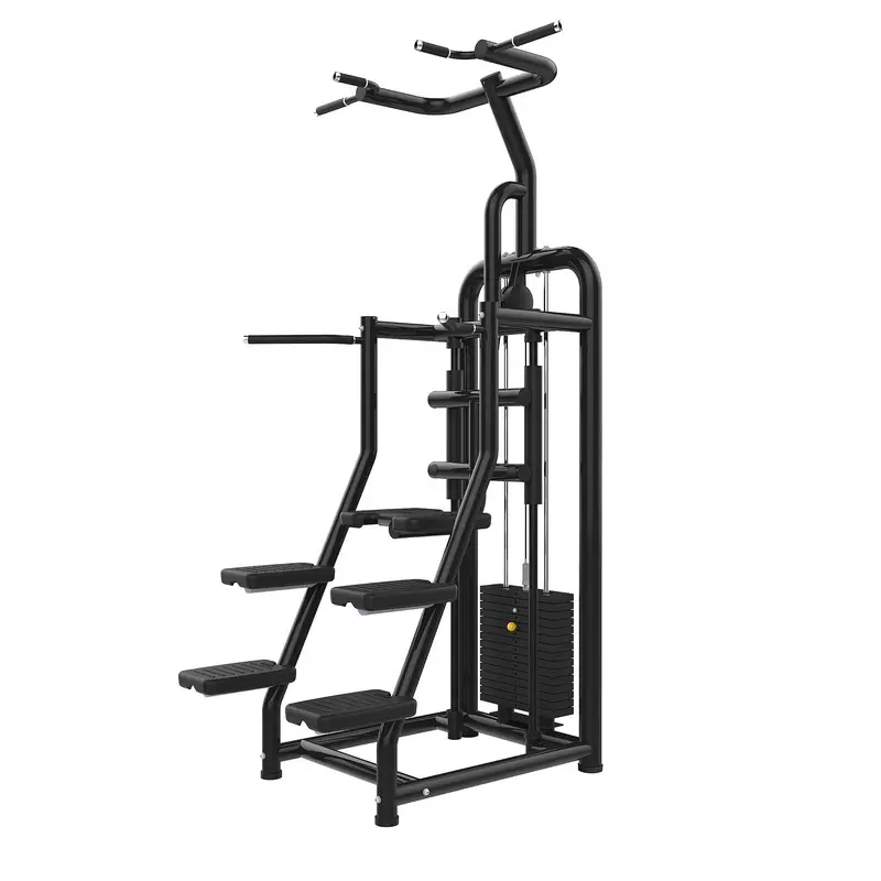 Muscle D Vogue Assisted Chin Dip
