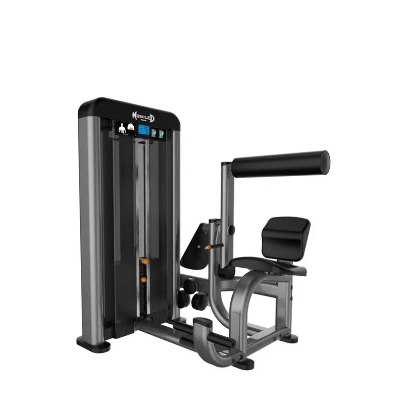 Muscle D Elite Plus Ab/Back