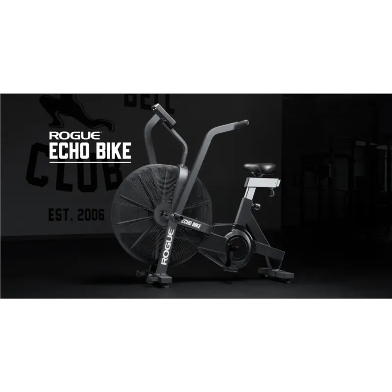 Rogue Echo Bike