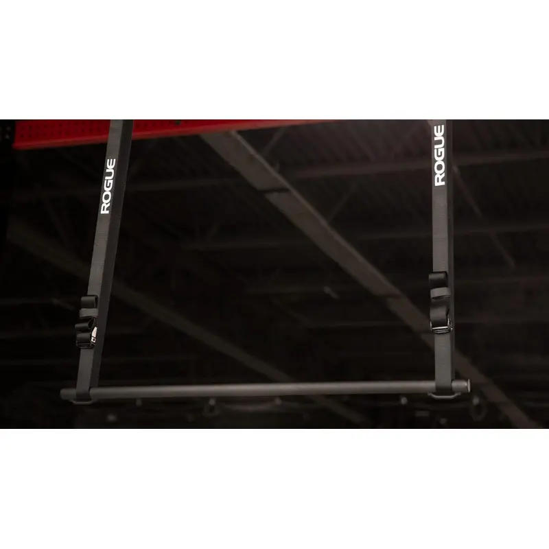 Rogue Individual Pullup System