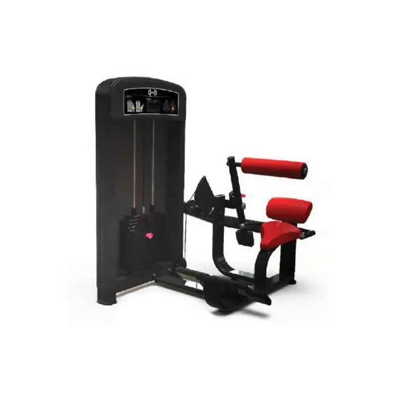 Muscle D Elite Selectorized Low Back Extension