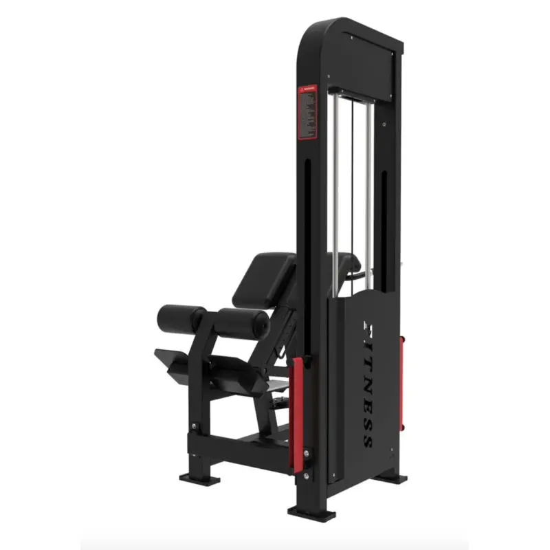 Muscle D Excel Loaded Back Extension