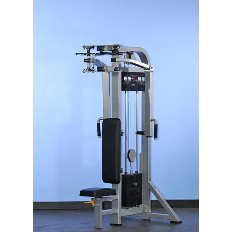 Muscle D Dual Function Pec Dec Rear Delt Combo