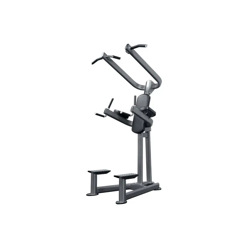 BodyKore Elite Series Chin Dip Tower