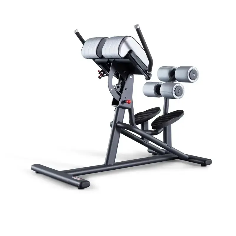 Muscle D Pro+ Roman Chair / Back Extension