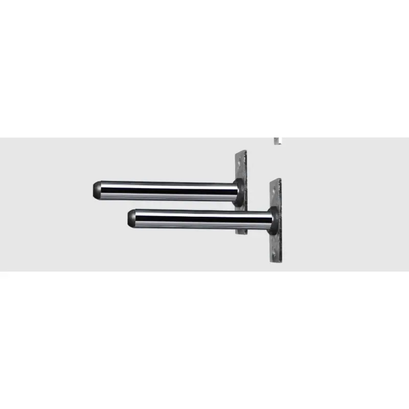 REP Fitness PR-4000  Weight Horns (12" Pair)