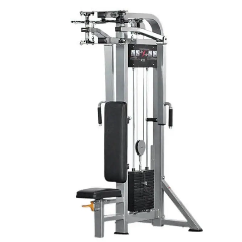 Muscle D Dual Function Pec Deck/Rear Delt MDD-1003
