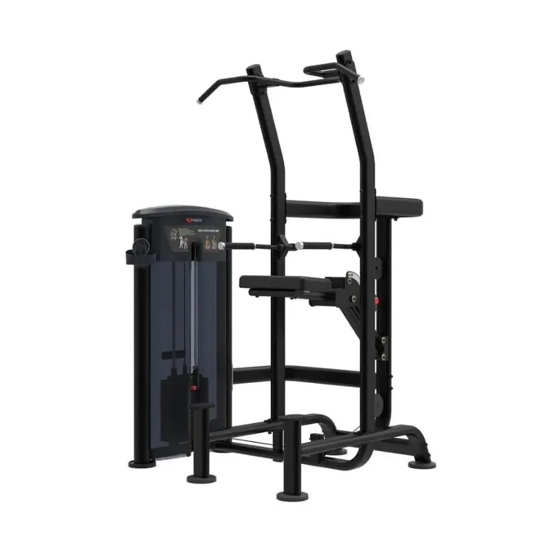 TKO Signature Weight Assisted Chin Dip 7026-G2