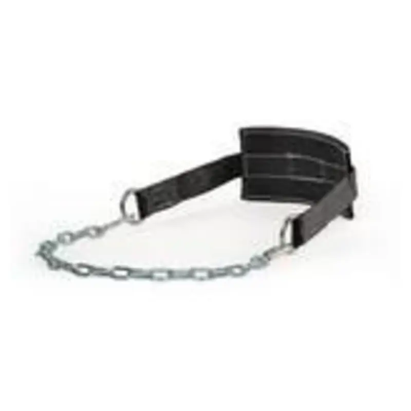 Spud Inc. Dip Belt