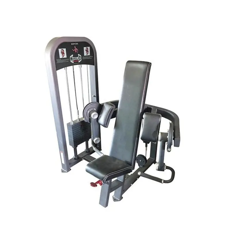 Muscle D Classic Line Bicep Curl