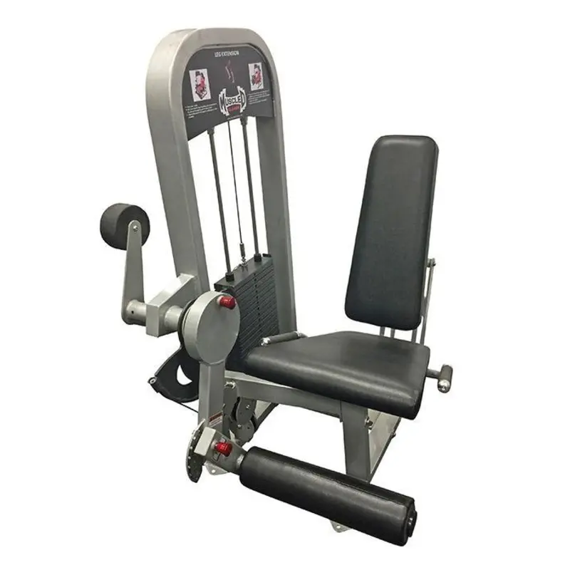 Muscle D Classic Line Leg Extension