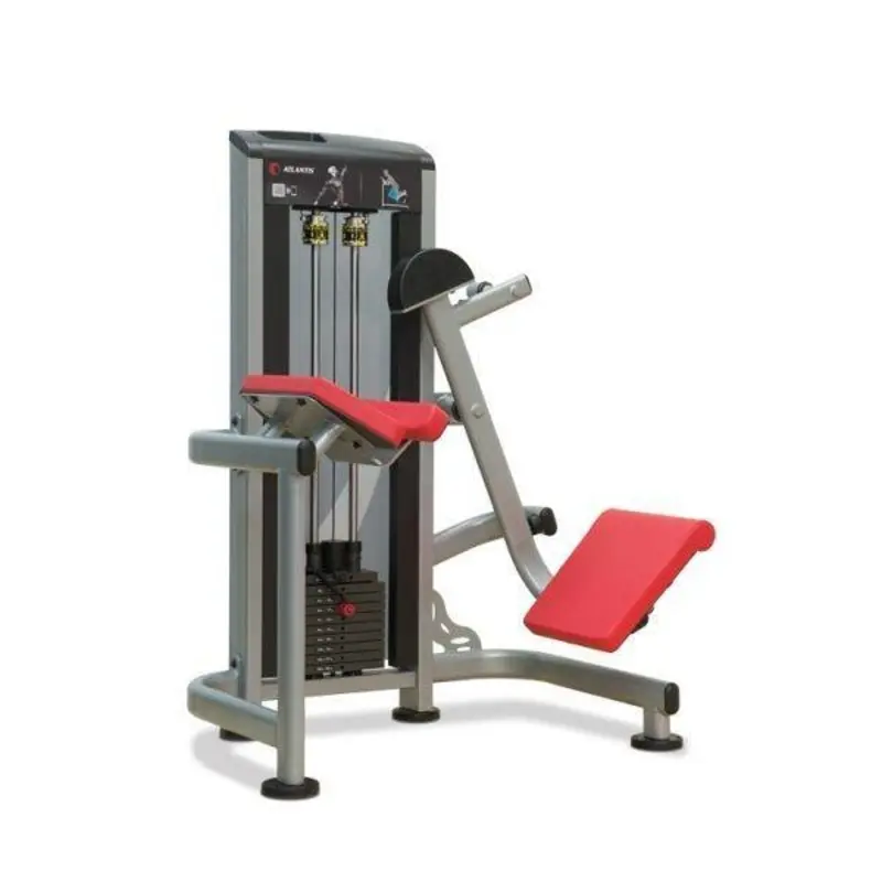 Atlantis Strength A-369 Precision Series Selectorized Knee Raise