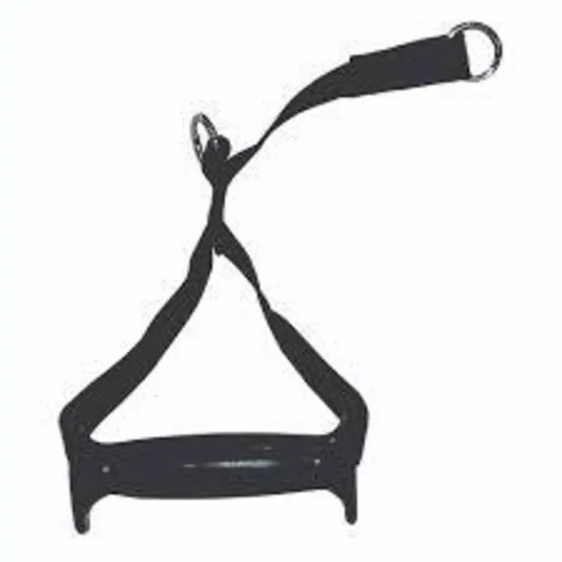 Atlantis Strength A-41 Long Double Ring Nylon Handle, Pair