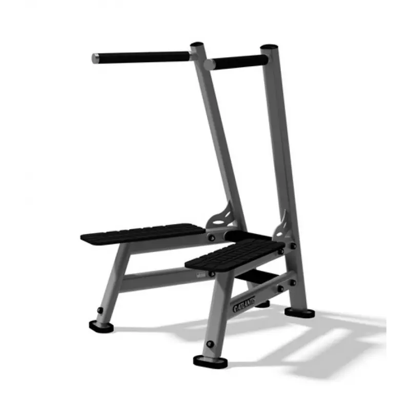 Atlantis Strength P-245 Dip Bars