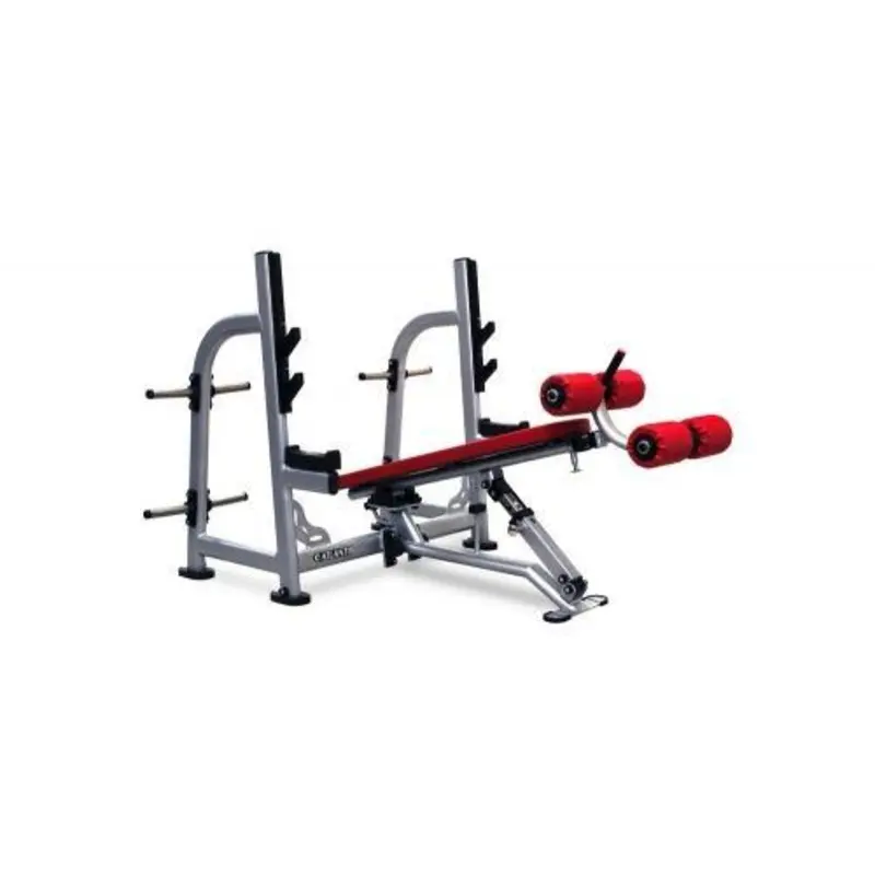 Atlantis Strength P-339 Flat / Decline Bench Press with pivot