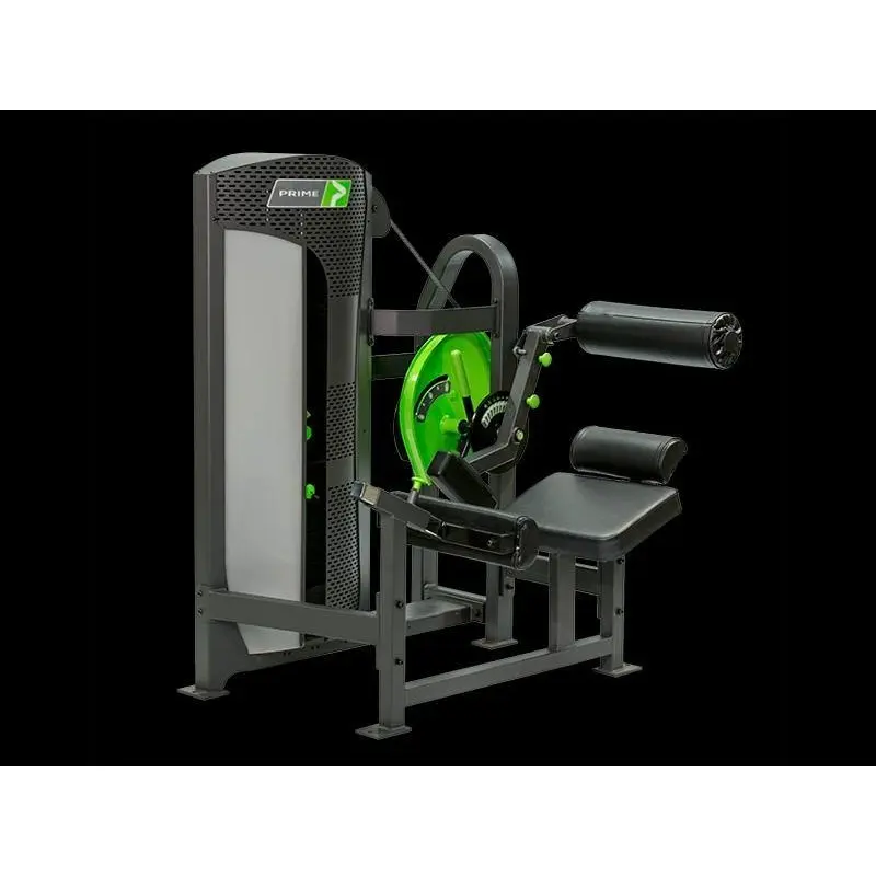 Prime Fitness Hybrid Back Extension H-110