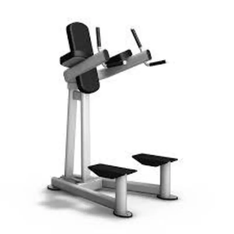 BodyKore Elite Series Vertical Knee Raise