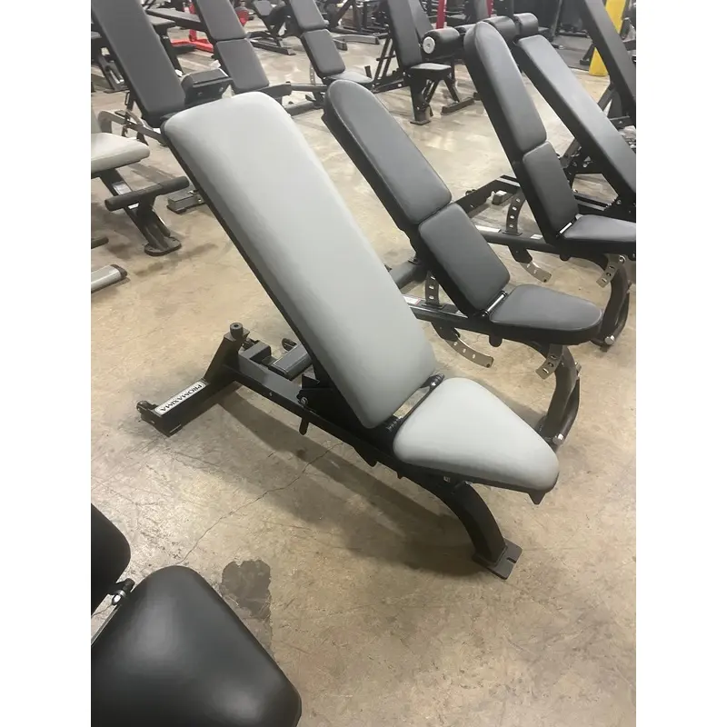 ProMaxima FW-150U Adjustable Work Bench Black Frame Dove Gray Upholstery