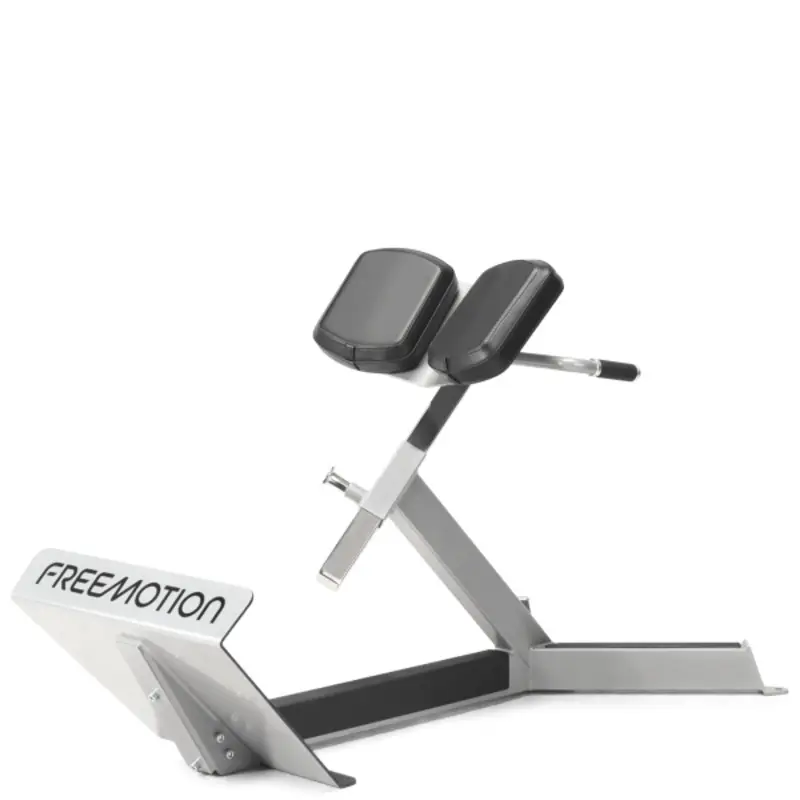 FreeMotion EF206 45 Degree Back Extension