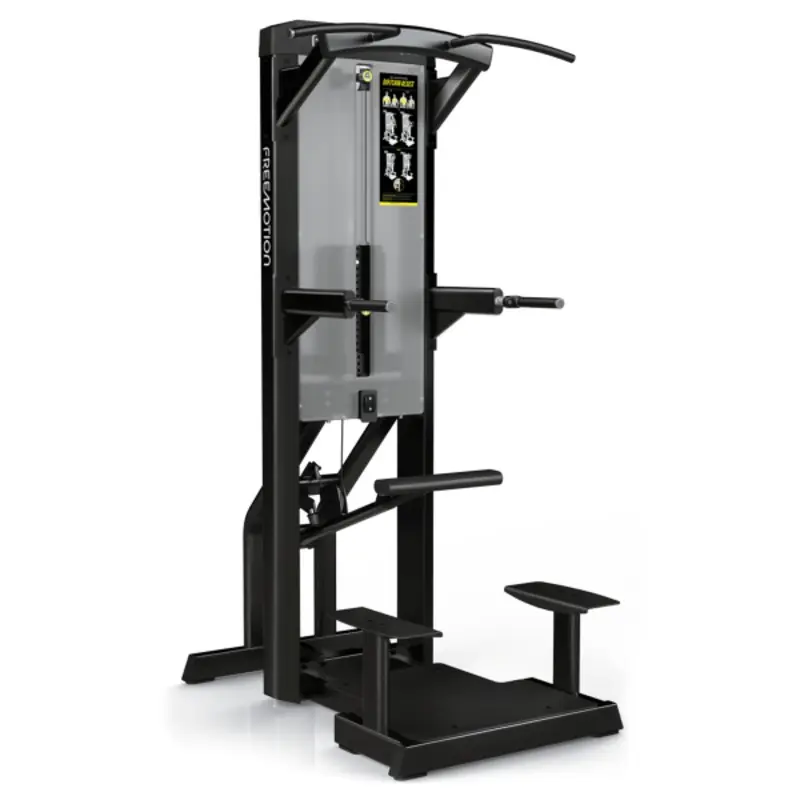 FreeMotion Epic ES812 Dip-Chin Assist