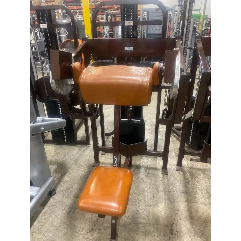 Nautilus 1st Generation Bicep Curl - Used