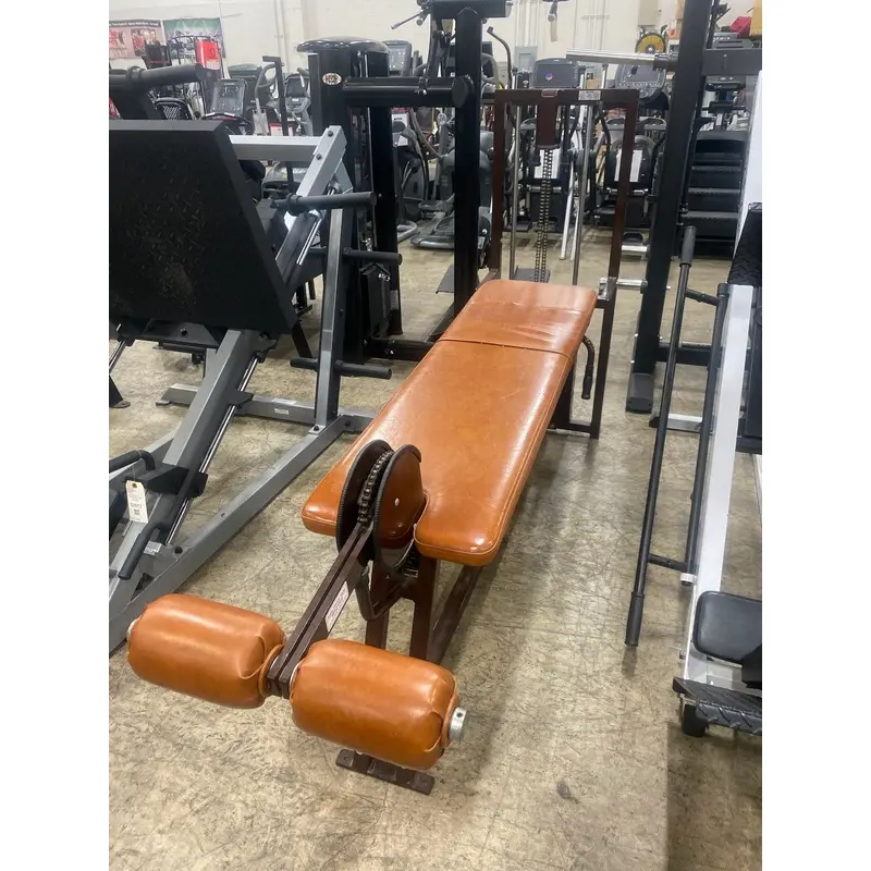 Nautilus 1st Generation Leg Curl - USED