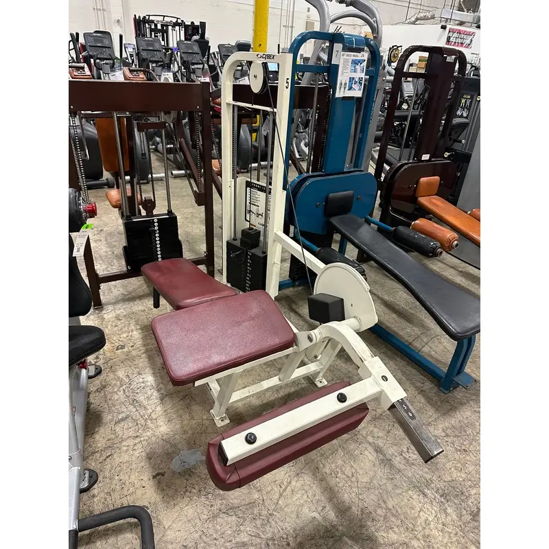 Cybex Prone Leg Curl - Used