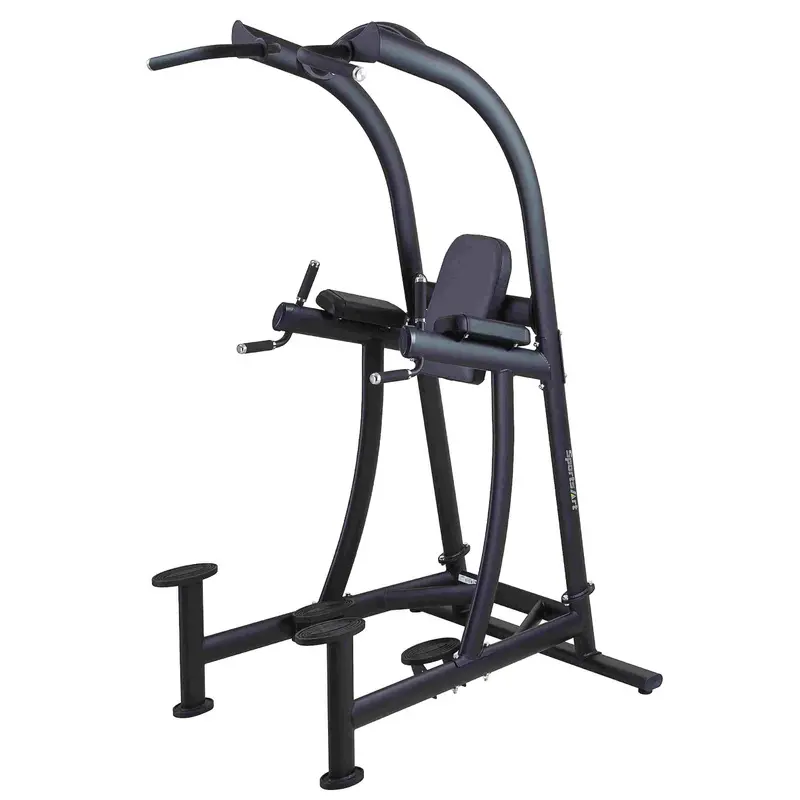 SportsArt A994 Vkr Chin Dip Station