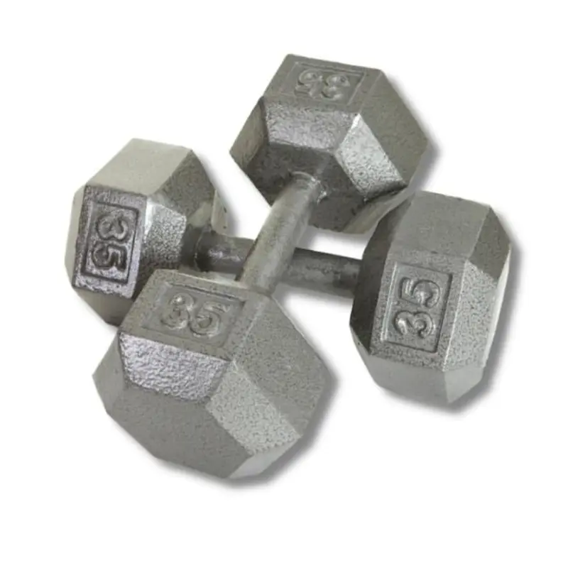 Troy USA Sports Gray Cast Iron Dumbbell Sets - IHD