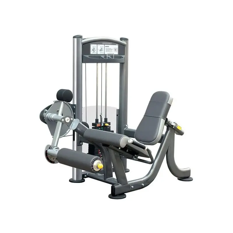 LEG EXTENSION IT9005 200LBS/IT9305