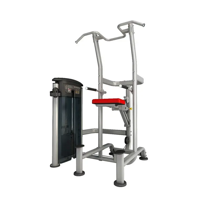 Impulse Fitness Weight Assisted Chin/Dip Combo IT9520