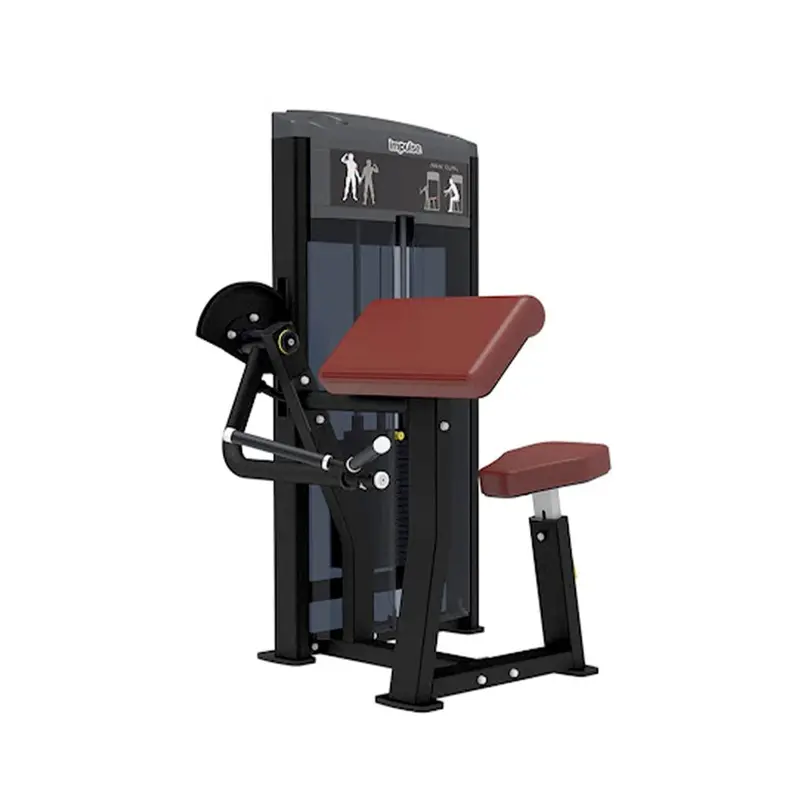 Impulse Fitness Bicep Curl IF9303