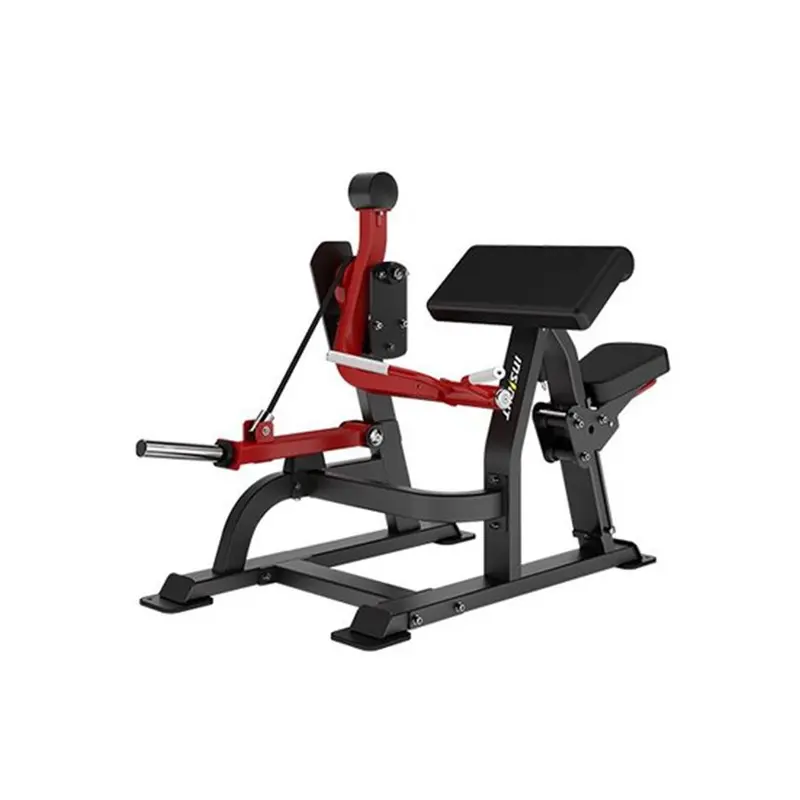 Insight Fitness Biceps Curl Machine - DH021