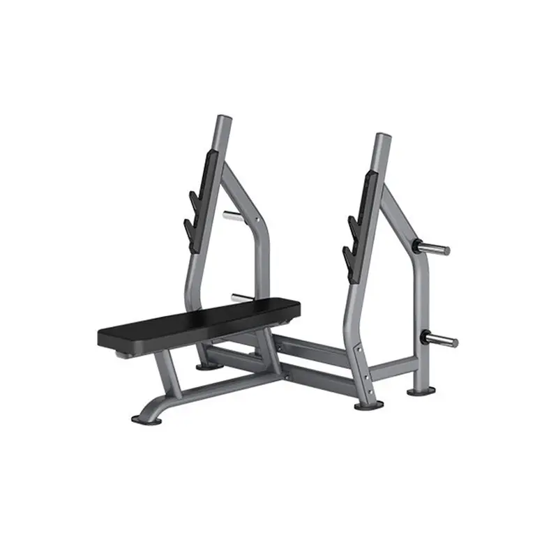 Insight Fitness Flat Olympic Bench - DR004